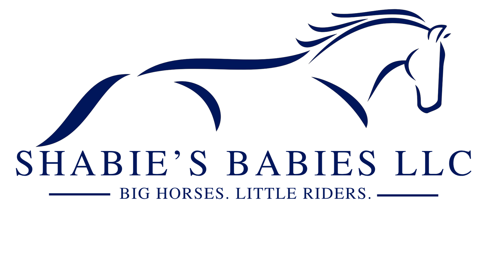 Shabie's Babies LLC