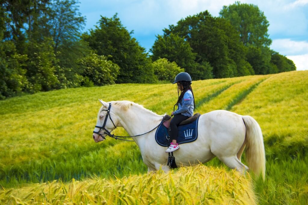 little girl, horseback riding, countryside, horse riding, child, nature, horse, field